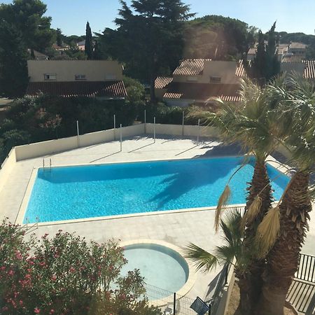 Appartement Avec Piscine Argelès-sur-Mer Eksteriør billede