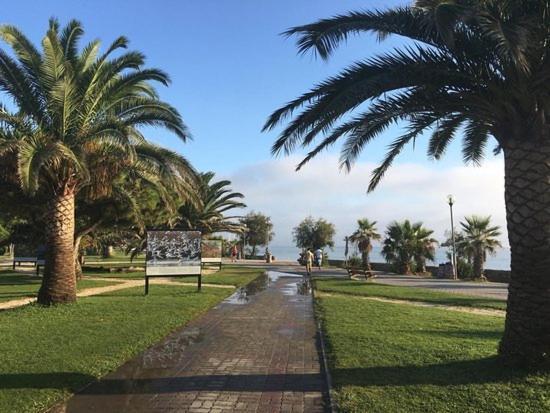 Appartement Avec Piscine Argelès-sur-Mer Eksteriør billede